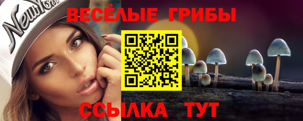 Артём  Галлюциногенные грибы GOLDEN TEACHER  Вход с VPN 
