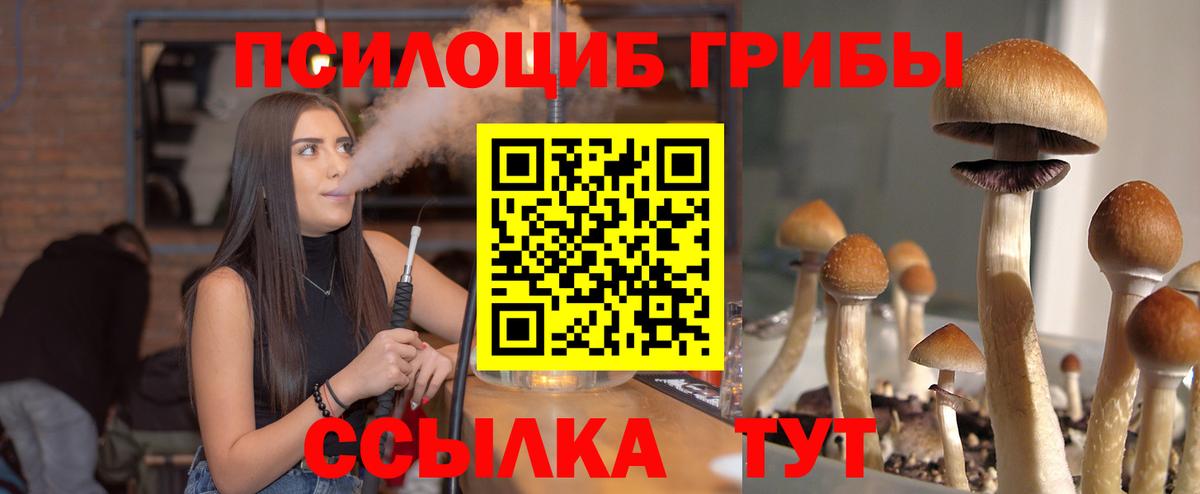 Галлюциногенные грибы Psilocybe Артём